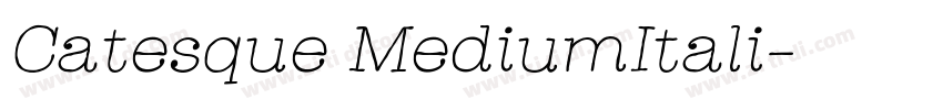 Catesque MediumItali字体转换 Catesque MediumItali字体转换